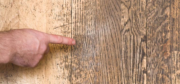 Wood Door Scratch Repair in Montebello